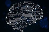 Нейросети и механизмы машинного обучения в автоматизации процессов